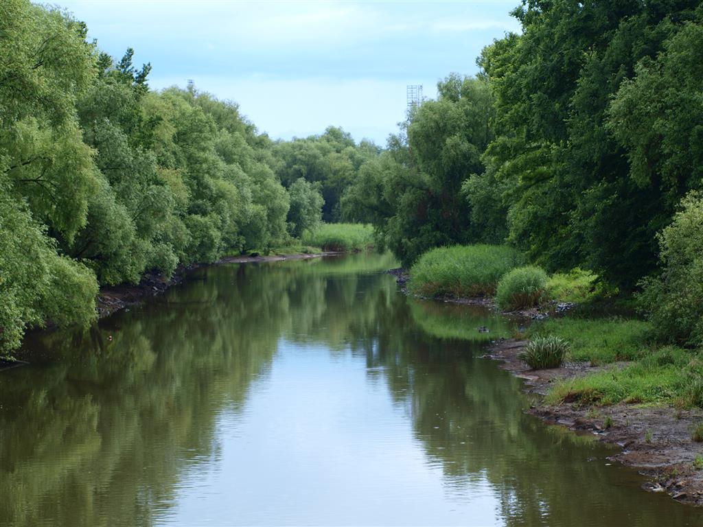 platzhalter_oder.jpg